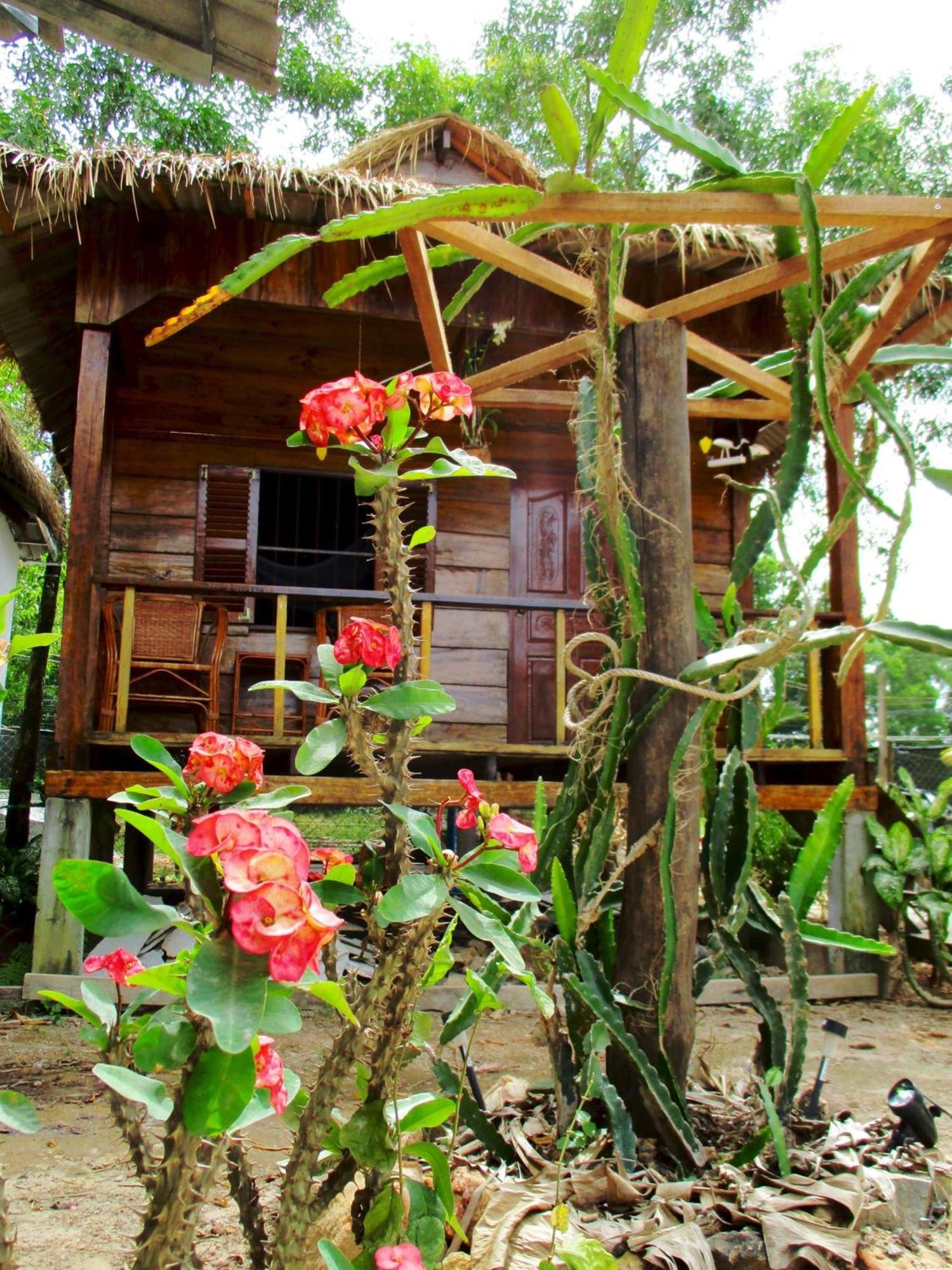 Om Home Sihanoukville Quarto foto